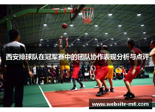 西安排球队在冠军赛中的团队协作表现分析与点评